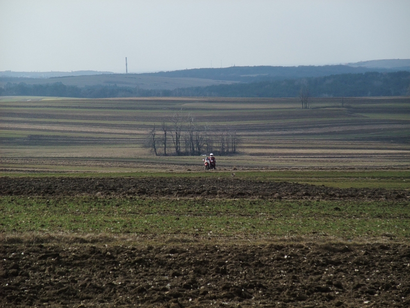 Obraz 186